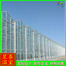 昱泰 纹络智能玻璃连栋温室 蔬菜种植大棚 YTWSWL0028