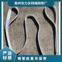 钢管起重吊装带两头扣尼龙编织吊绳精密工具用圆形吊带