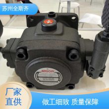 ANSON IVP21-17-F-R-86DD-10 Ʒ  Դͷ̼ ҶƬ