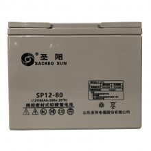 圣阳蓄电池SP12-42阀控密封式铅酸电池12V42AH/20HR UPS电源配套