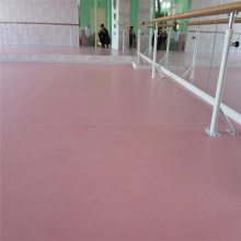 PVC幼儿园纯色塑胶地板 舞蹈练功房发泡地胶 环保加厚耐磨层
