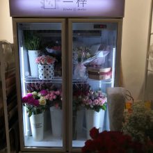 鲜花保鲜柜 花店花卉冷柜 冰柜专用鲜花柜 展示柜冷藏柜 风冷无霜冰箱