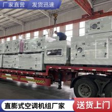 直膨式空调机组 静音降温送风 节能环保外形美观直膨空调机组