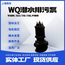 ۱65WQP25-15-2.2޶Ǳˮ ͸ʴˮ