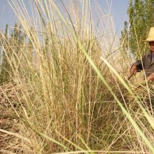 �������������Ż� �ļ�����ܸܸ�������̻���ѿ***�����������ٶȿ�