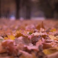 双组份环氧树脂胶使用注意事项：