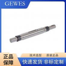 GEWES˹ʮְ 2110-63/104.5 άް ¹ԭװ 趨