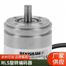 Renishaw 雷尼绍直线光栅尺 分辨率1nm 值/增量 长行程 现货