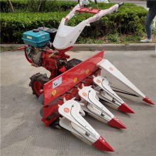 ʹո 賬ĳ̵иɹ ոѴ󶹸