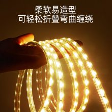 led޺l ɫ׃z ܿ220v߉X۟