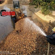 广东深圳鹅卵石基地 自然铺路杂色鹅卵石 5-8公分抛光鹅卵石
