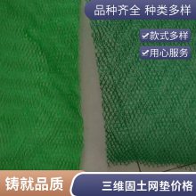 麦克加筋垫 EM3三维植被网 世杰植草固土网垫 用于促植物生长
