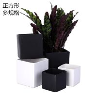 正方形陶瓷花盆室内白色北欧磨砂哑光黑色创意绿萝吊兰多肉简约盆