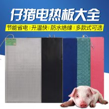 小猪电热板不锈钢碳纤维电热板农盛乐
