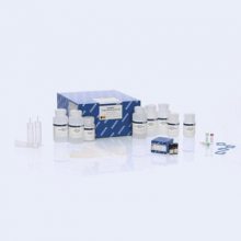 Qiagen 12462 DNAȡԼ 10T