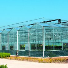 纹络型玻璃温室无土栽培蔬菜水果展览馆生态产业园
