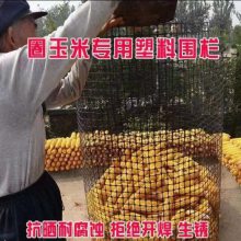 友辰新型塑料圈玉米网黑色方孔隔离栅圈山地果园围栏网养殖防护网