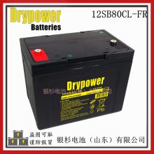 ԭװDrypower12SLR100DC̫ϵͳ ܷר12V-100AHܵ