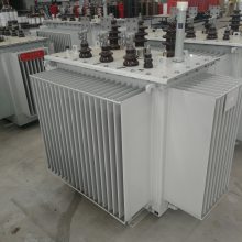 S11-630/20KV2*2.5/0.4 20KVͱ о