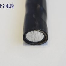 YJLHV 0.6/1KV-1400mm2 Ͻ  ǿ