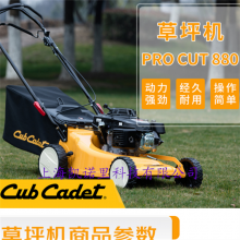 ƵCub Cadet 19CUT880ĳ̱ﶯƺƲݻ