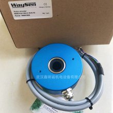 ¹WAYSENRE58AM-1312-DP-PG
