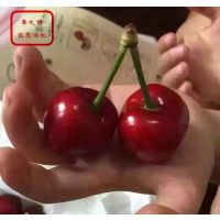 ˾ӣ硢˾ӣ۸