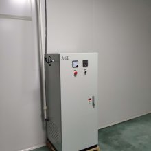 为园 臭氧发生器 食品厂用 GMP 臭氧消毒设备 臭氧发生器生产厂家 臭氧发生器价格