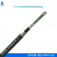ELTFOC˹GYTZA53ȼֱʽֱ