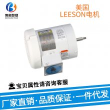 LEESON 978-66 綯