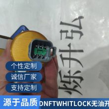 数字无流量定时器 DNFT PRG-PS系列 无油流开关 工业油田用品