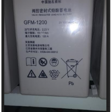 ˫GFM-1000/2V1000AH