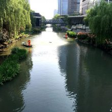 扬州市生态人工浮岛设计 诚信合作 湖面种植浮岛