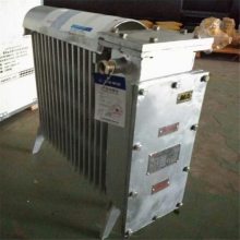 厂家直供矿用取暖器 散热稳定矿用取暖器 RB-2000/127（A）矿用取暖器