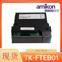 ģTK-FTEBO1ʡֱ
