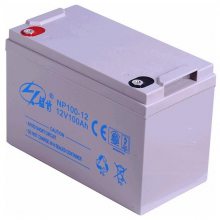  NP17-12 12V17AHά ӦEPSԴ/
