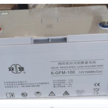 ˫ǷܷʽǦά6-GFM-100C20