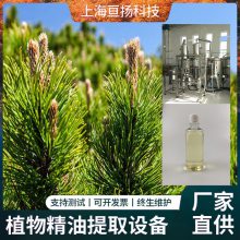 定制植物精油提取设备 松树精油加工生产线 艾草精油纯露生产线