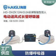 海固品牌店 性能稳定 使用方便 双人型送风式长管呼吸器 动力送风