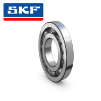 SKF6030 6032 6034 6036 6038ZZ/2RS