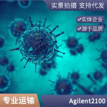 2100Agilent ZAG DNA ϵͳܴ