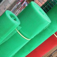 小鸡床垫塑料网兴来 聚乙烯塑料养殖网 养殖塑料网格生产