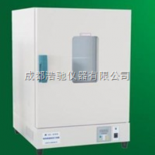 电热恒温干燥箱 5E-DHG