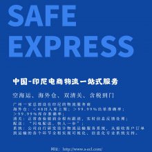 浙江金华出货到印尼海运双清专线 塑料制品发货到印尼 散货拼箱整柜运输