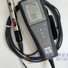 美国YSI维赛Pro20i溶解氧测量仪耐用可靠一键校准