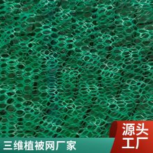 世杰土工 护坡三维土工网垫 EM3植被网 固土防止水土流失