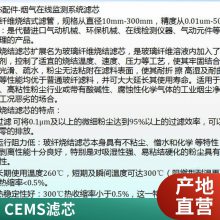 除湿过滤器滤芯 内有支撑层 加气站用 CEMS 通用过滤器