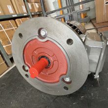 Ϻ¶ Ƶٵ綯YVF2-225M-4 45KW ҶͺŶ