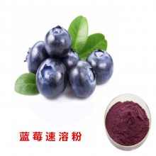 蓝莓速溶粉植物花青素 食品原料 水溶性粉末 SC备案全