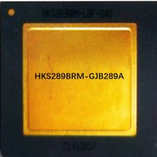 HKS289BRM数据总线接口 SoC